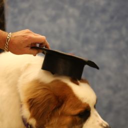 photograph by PeterW